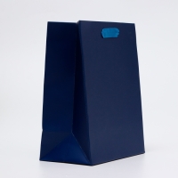 Пакет ламинированный &laquo;Синий&raquo;, MS 18 &times; 23 &times; 10 см