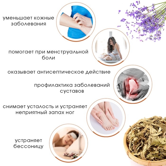 Травяной сбор для запарки ног Травяной сбор для запарки ног "Полынь и лаванда", набор 5 шт