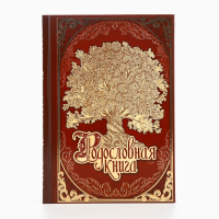 Родословная новогодняя книга с пером в шкатулке &laquo;Новый год: Сказочного нового года&raquo;, 26 х 8 х 27 см, набор