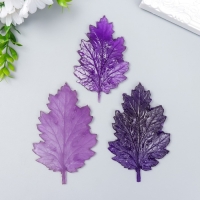 Молд пластик st-0061 "Универсальный (хризантема)" 10,5хх6,5 см МИКС Молд пластик st-0061 "Универсальный (хризантема)" 10,5хх6,5 см МИКС