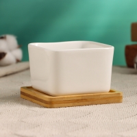 Горшок "Эко Бонсай" для кактусов и суккулентов, 9,5х9,5х6,5см