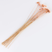 Сухоцвет &laquo;Батао&raquo; набор 20 шт., цвет МИКС