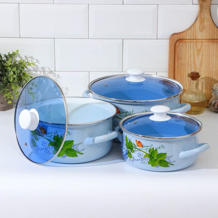 Набор эмалированных кастрюль &laquo;Гортензия&raquo;, 3 предмета: 2 л, 3 л, 4 л, индукция