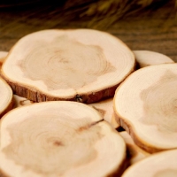 Подставка под горячее &laquo;Классика&raquo;, D=18 см, можжевельник