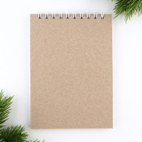 Новый год. Скетчбук А6, 40 л &laquo;Котики&raquo;