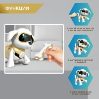Робот собака «Чаппи» IQ BOT, интерактивный: сенсорный, свет, звук, музыкальный, танцующий, на аккумуляторе, на русском языке, золотой Робот собака «Чаппи» IQ BOT, интерактивный: сенсорный, свет, звук, музыкальный, танцующий, на аккумуляторе, на русском языке, золотой