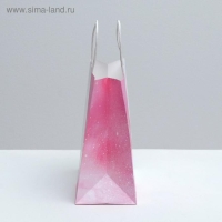 Пакет подарочный крафтовый, упаковка, «Present for you», 22 х 25 х 12 см Пакет подарочный крафтовый, упаковка, «Present for you», 22 х 25 х 12 см