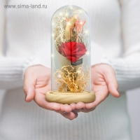 Ночник "Колба с розой в букете" LED 3ААА МИКС 23х11х11 см RISALUX Ночник "Колба с розой в букете" LED 3ААА МИКС 23х11х11 см RISALUX