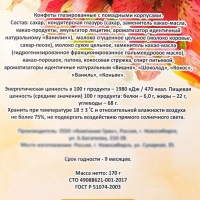 Новогодний набор конфет "Новогодний презент", дизайн 2, 170 г Новогодний набор конфет "Новогодний презент", дизайн 2, 170 г