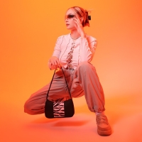 Сумка женская багет из текстиля, «Зебра», 23х13х5 см. Сумка женская багет из текстиля, «Зебра», 23х13х5 см.