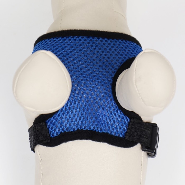 Шлейка мягкая из неопрена, размер XL, ОШ 42 см, ОГ 38-50 см, синяя Шлейка мягкая из неопрена, размер XL, ОШ 42 см, ОГ 38-50 см, синяя