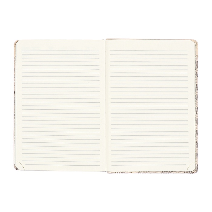 Ежедневник датированный 2025 года A5 168 листов, deVENTE. Expert, интегральная обложка кожзам, карман, перфорация, ляссе, кремовый блок 70 г/м2, серый