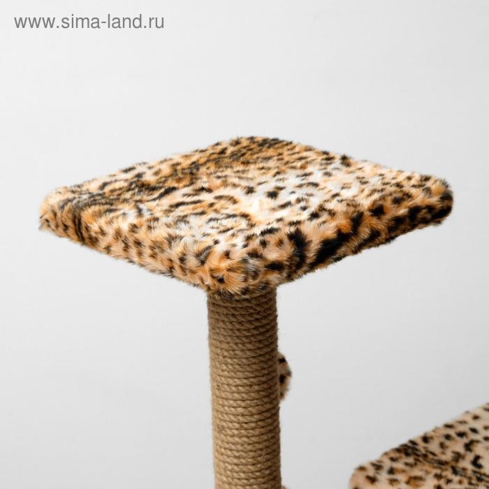 Домик для кошек с когтеточкой, квадратный, 3х-этажный, 45 × 47 × 75 см, леопард Домик для кошек с когтеточкой, квадратный, 3х-этажный, 45 × 47 × 75 см, леопард