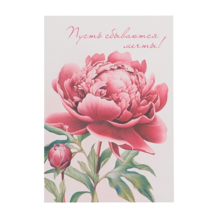 Набор мини-открыток Набор мини-открыток "Цветы" 7,6 х 10,6 см