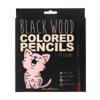 Карандаши 24 цвета BlackWoodColor, пластиковые, трёхгранные, МИКС Карандаши 24 цвета BlackWoodColor, пластиковые, трёхгранные, МИКС
