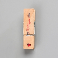 Декор для творчества дерево "Прищепка - Букетик радости" набор 10 шт Декор для творчества дерево "Прищепка - Букетик радости" набор 10 шт