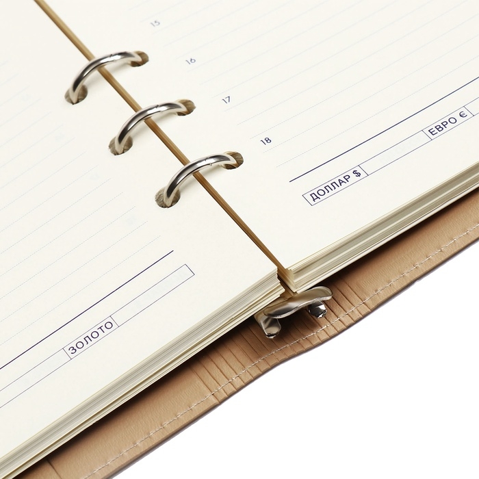 Органайзер на кольцах А5, 100л, линия, к/зам, с ручкой, в подар. короб., Серый Органайзер на кольцах А5, 100л, линия, к/зам, с ручкой, в подар. короб., Серый