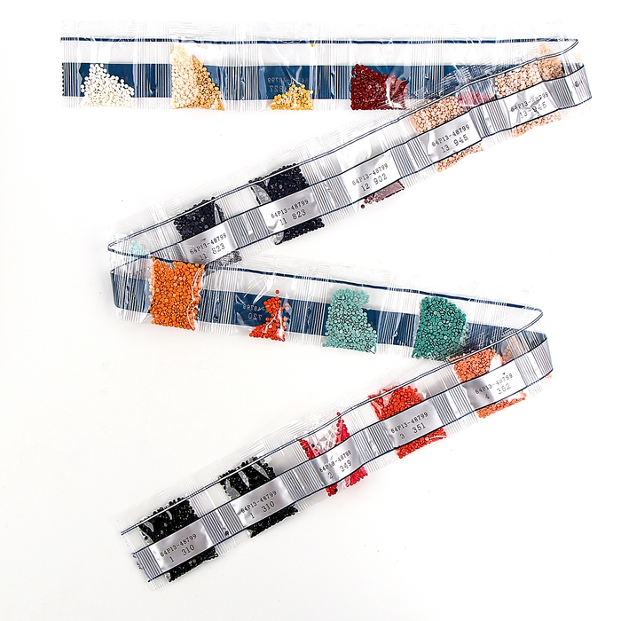 Алмазная мозаика с частичным заполнением &laquo;Девушка с драконом&raquo; без рамы 30х40 см