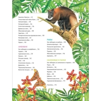 Энциклопедия &laquo;Удивительные животные&raquo;