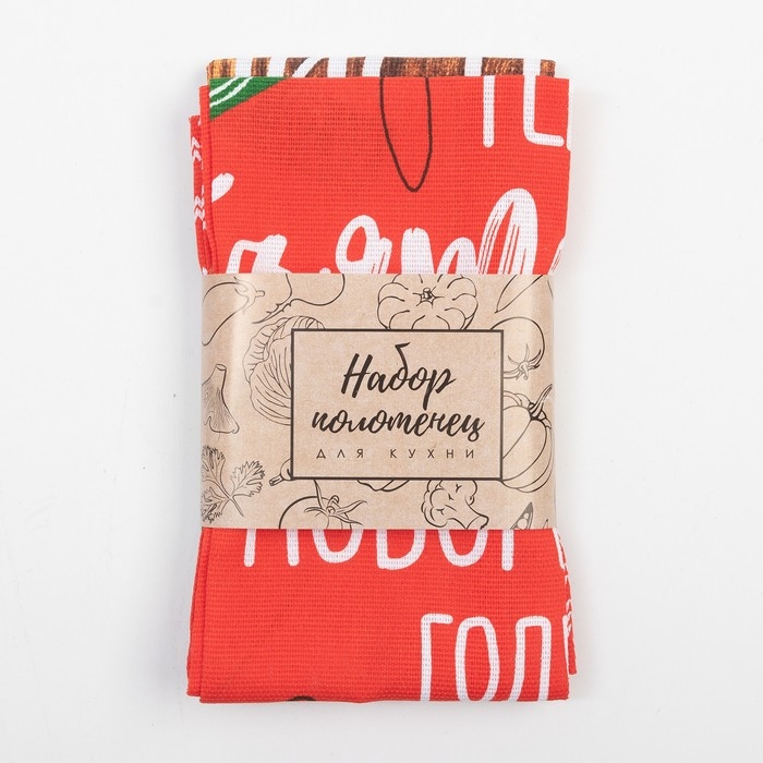 Набор кухонных полотенец Доляна &laquo;Тёплых объятий&raquo; 35х60см-2шт, 100% хл