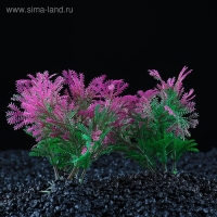 Набор растений искусственных для аквариума (2 шт), 10 см Набор растений искусственных для аквариума (2 шт), 10 см