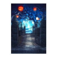 Фотофон винил "Хэллоуин. Вход на кладбище" 150х210 см Фотофон винил "Хэллоуин. Вход на кладбище" 150х210 см