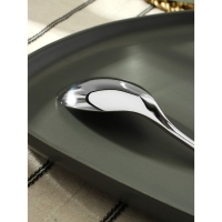 Ложка столовая из нержавеющей стали &laquo;Марио&raquo;, длина 20 см, цвет серебряный