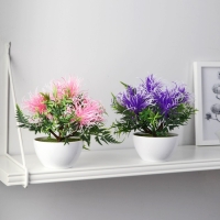 Бонсай в горшке "Тилландсия" 10х17 см, микс Бонсай в горшке "Тилландсия" 10х17 см, микс