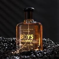 Парфюмированный лосьон с феромонами для мужчин "Formula Sexy" Boys Gold & Wild, 100 мл (по мотивам 1 Million (P.Rabanne)