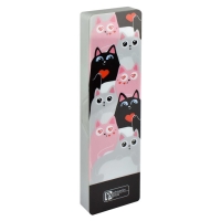 Пенал-футляр пластиковый 55 х 200 х 25 мм, Феникс "Котики" Пенал-футляр пластиковый 55 х 200 х 25 мм, Феникс "Котики"