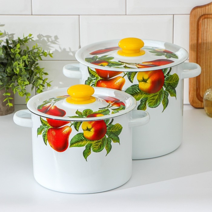 Набор кастрюль &laquo;Дары лета&raquo;, 2 предмета: 3.5 л, 5.5 л, индукция