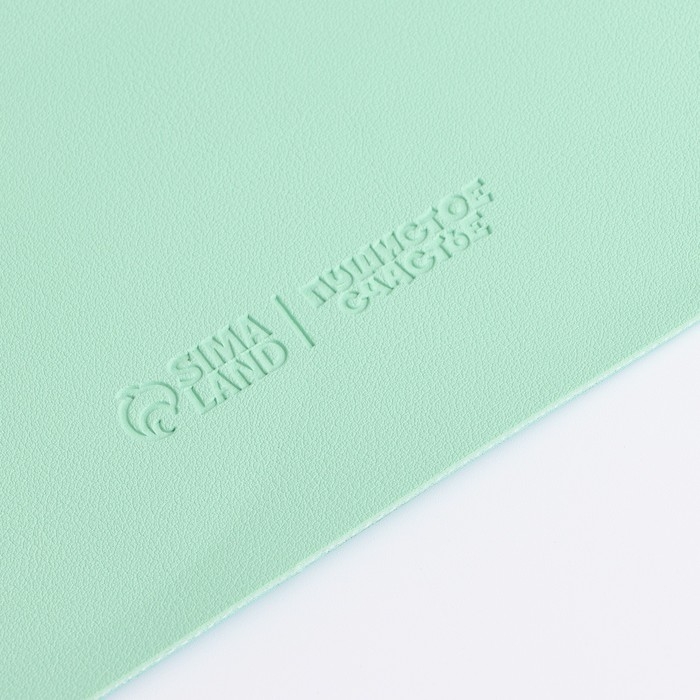 Коврик под миску форменный &laquo;Лапка&raquo;, 39 х 30 см, мятный