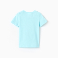 Футболка для мальчика "Киты", цвет голубой, рост 134-140 см