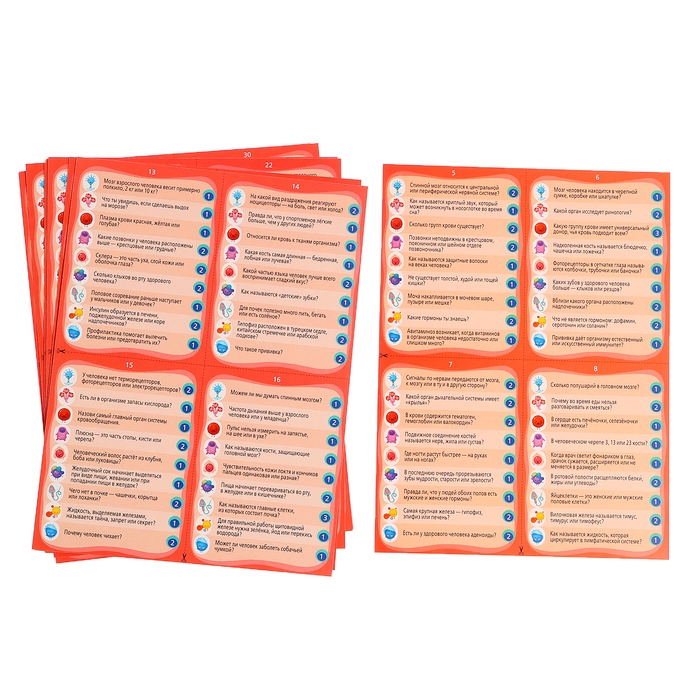 Настольная игра «Викторина. Как устроен человек?», 7-12 лет Настольная игра «Викторина. Как устроен человек?», 7-12 лет