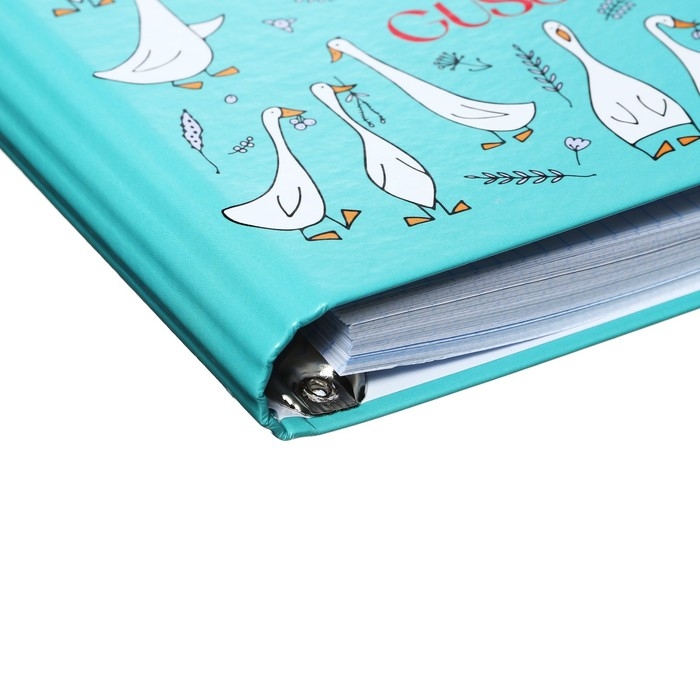 Тетрадь на кольцах А5 160 листов в клетку Тетрадь на кольцах А5 160 листов в клетку "Gussi", твёрдая обложка, глянцевая ламинация