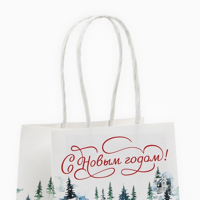 Пакет подарочный новогодний &laquo;С Новым годом&raquo;, белый крафт, 12 х 21 х 9 см , Новый год