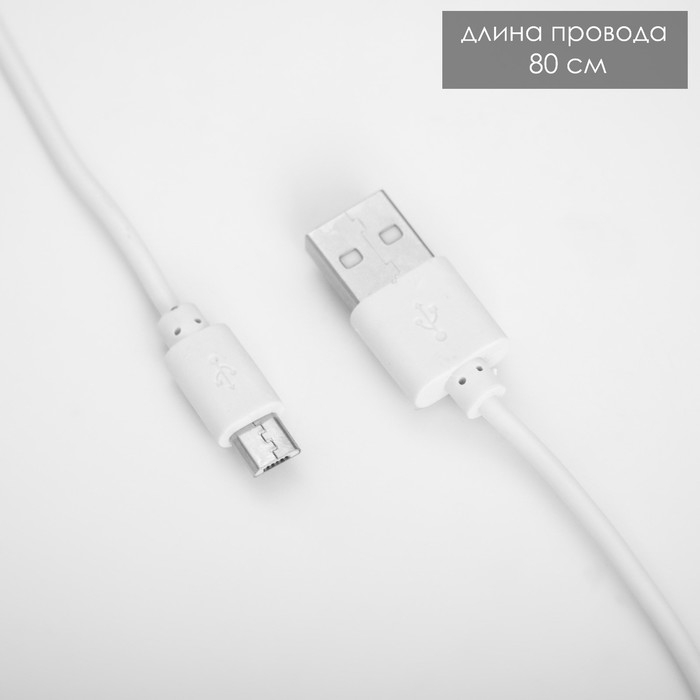 Настольная лампа "Делсер" LED 3Вт USB АКБ фиолетовый 14х13х39 см RISALUX