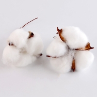 Набор для творчества &laquo;Материалы для зимних поделок. Шишки, веточки&raquo;