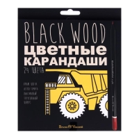 Карандаши 24 цвета BlackWoodColor, пластиковые, трёхгранные, МИКС Карандаши 24 цвета BlackWoodColor, пластиковые, трёхгранные, МИКС