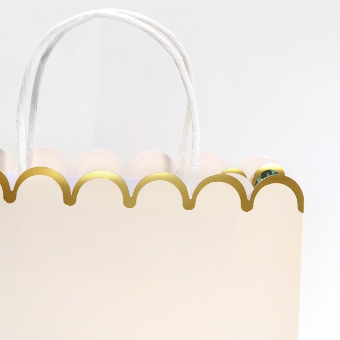 Пакет подарочный крафтовый, упаковка, &laquo;Nice day&raquo;, 23 х 30 х 12 см