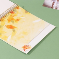 Фотоальбом на спирали 20 листов "Время года" объёмный элемент + 4 вкладки 24х24 см Фотоальбом на спирали 20 листов "Время года" объёмный элемент + 4 вкладки 24х24 см