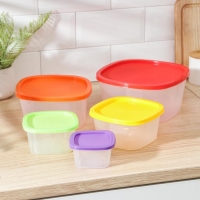 Набор пищевых контейнеров «BioFresh», 5 шт: 0,23 л, 0,5 л, 0,9 л, 1,55 л, 2,65 л, прозрачные, крышки микс Набор пищевых контейнеров «BioFresh», 5 шт: 0,23 л, 0,5 л, 0,9 л, 1,55 л, 2,65 л, прозрачные, крышки микс