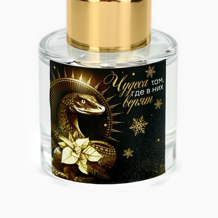 Новый год! Диффузор ароматический палочки &laquo;Новогодняя коллекцияЧудеса там, где в них верят&raquo;, аромат чёрный лёд 50 мл.