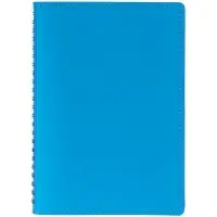 Ежедневник Spring Shall, недатированный, голубой Ежедневник Spring Shall, недатированный, голубой