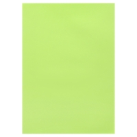 Бумага цветная А4, 50 листов, неоновая, зелёная, 80г/м2 Бумага цветная А4, 50 листов, неоновая, зелёная, 80г/м2