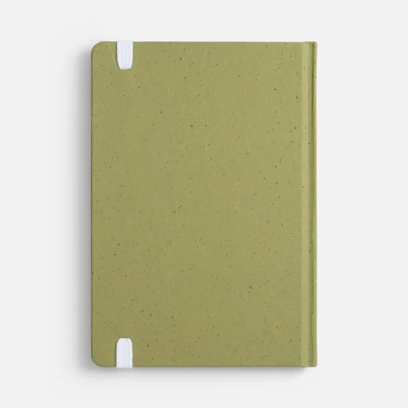 Блокнот Lactonica, зеленый