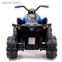 Электромобиль &laquo;Квадроцикл&raquo;, 2 мотора, цвет синий