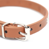 Ошейник клёпаный из искусственной кожи, 30,5 х 1 см, микс цветов Ошейник клёпаный из искусственной кожи, 30,5 х 1 см, микс цветов