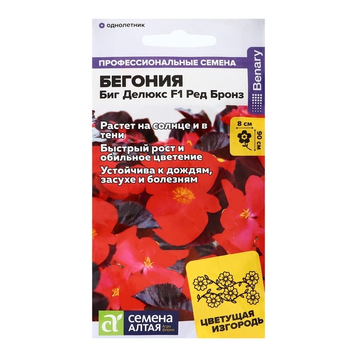 Семена цветов Бегония Биг Делюкс F1 Ред бронз, ц/п, 3 шт. Семена цветов Бегония Биг Делюкс F1 Ред бронз, ц/п, 3 шт.