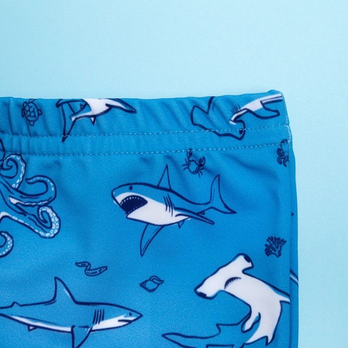 Плавки купальные для мальчика KAFTAN «Подводный мир» рост 98-104 (30), цвет голубой Плавки купальные для мальчика KAFTAN «Подводный мир» рост 98-104 (30), цвет голубой